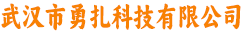 武汉市勇扎科技有限公司